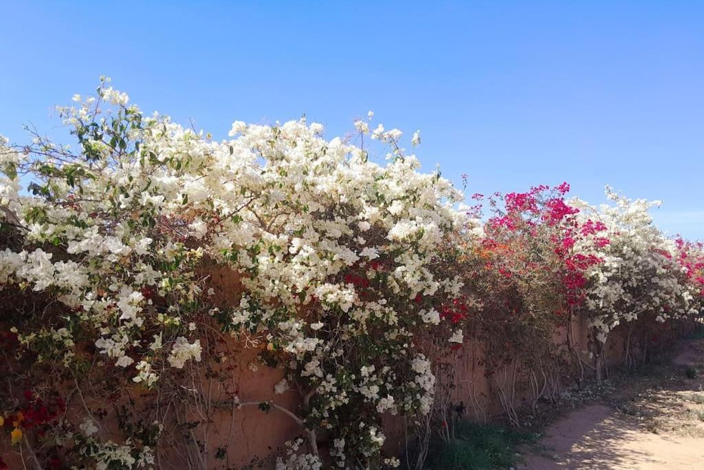 Villa Agora, Villa A La Campagne Proche Marrakech Sidi Abdallah Ghiat Esterno foto